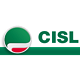 Visita il sito